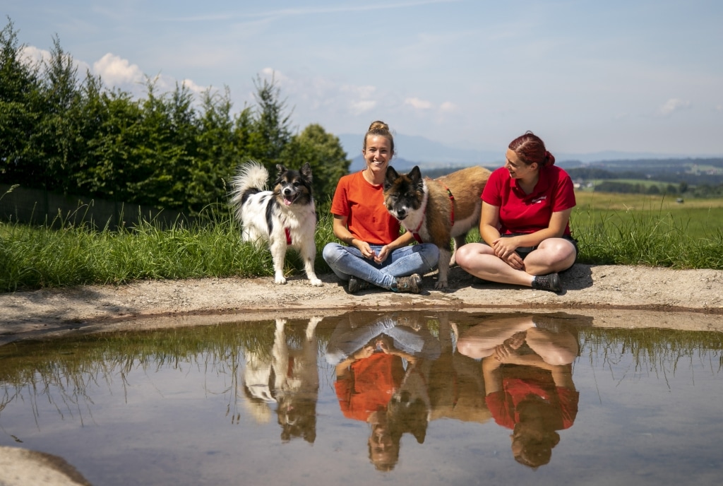 Hund Benny und Resi mit Melina und Steffi